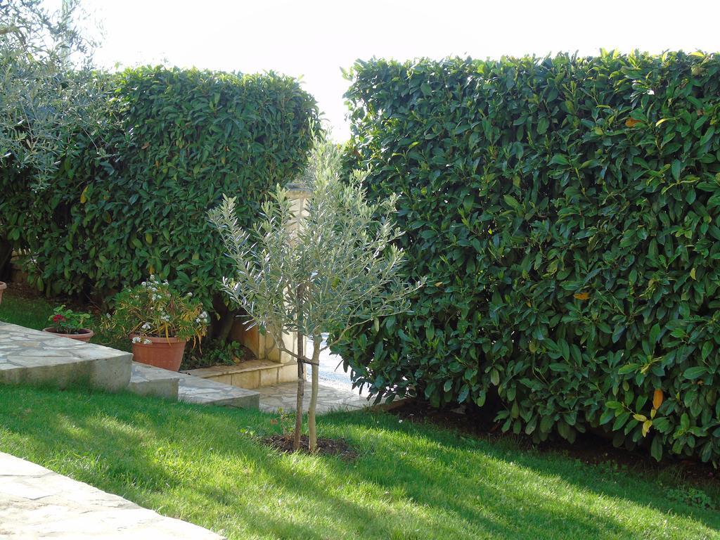 Apartment Karla Porec Bagian luar foto